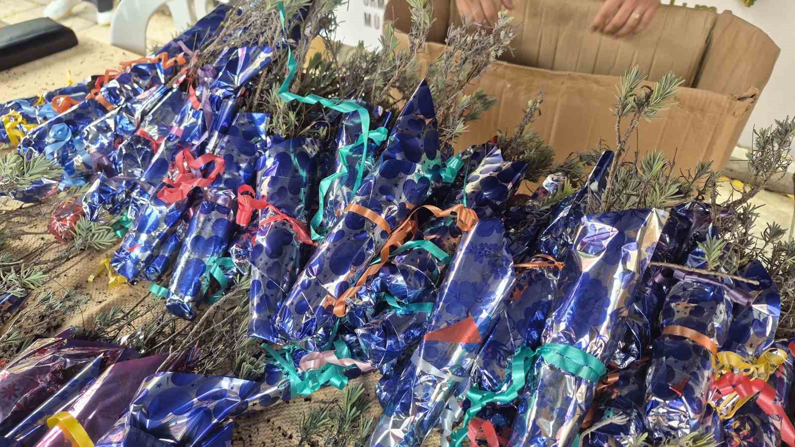 Eskişehir’de Cumhuriyet’in 103’üncü yılına özel bin 103 lavanta fidanı dağıtıldı — görsel 3