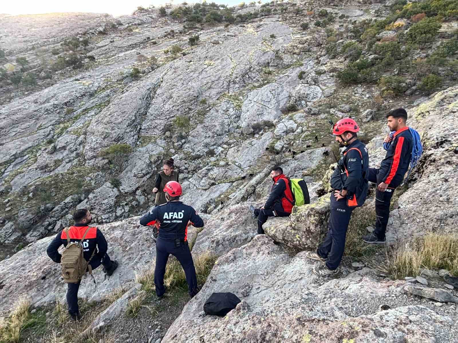 Tunceli’de kayalıklarda mahsur kalan keçileri AFAD kurtardı — görsel 1