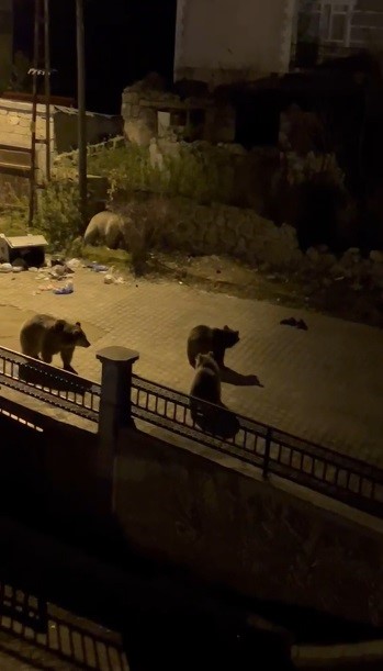 Kars’ta vatandaşın ayıya ile güldüren tepkisi: "Ne buldun da yiyorsun" — görsel 3