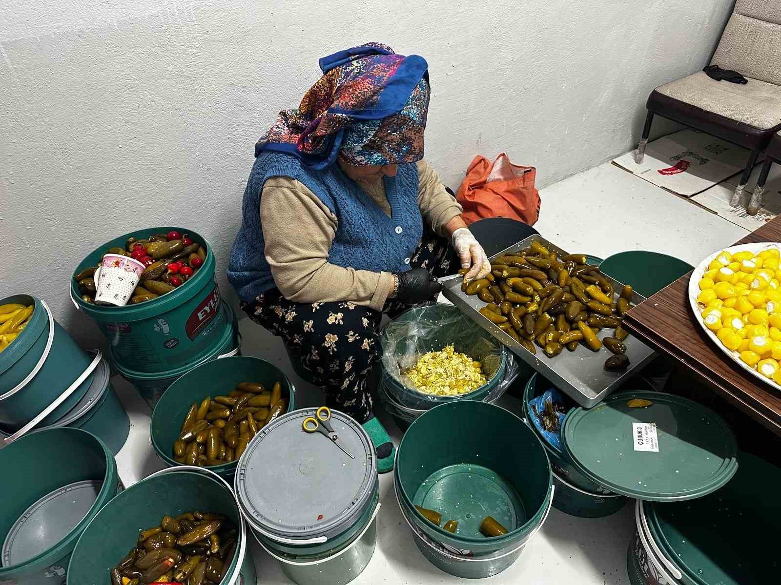 40 bin ton turşunun ardındaki 700 yıllık sır: Pınarbaşı suyu — görsel 3