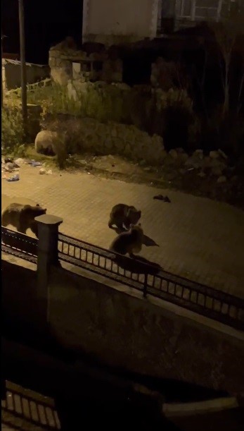 Kars’ta vatandaşın ayıya ile güldüren tepkisi: "Ne buldun da yiyorsun" — görsel 2