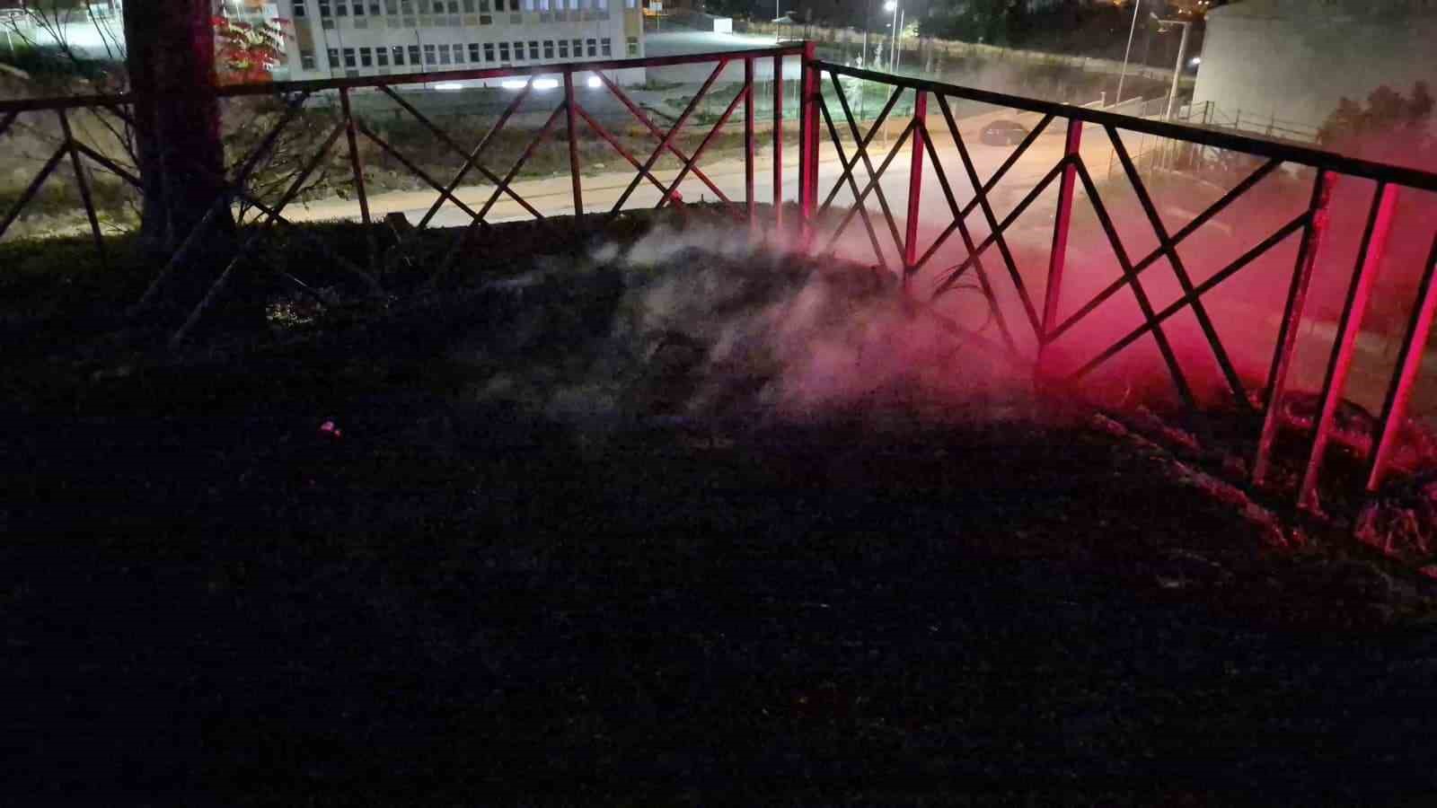 Gençler traktör lastiğini yakarak yangın çıkardı — görsel 5
