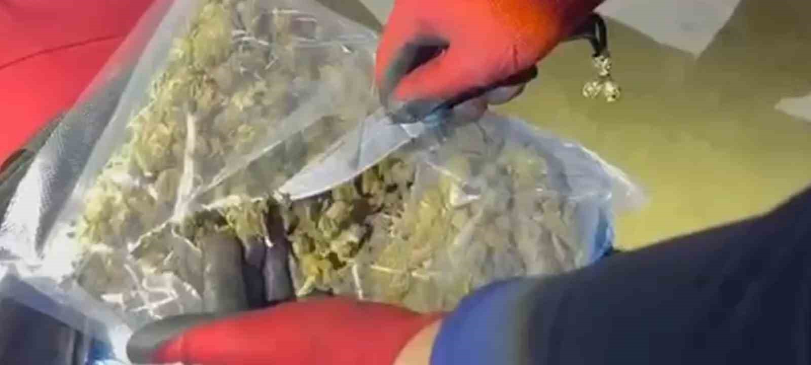 Şanlıurfa’da yolcu otobüsünde 16 kilo 400 gram skunk ele geçirildi — görsel 5
