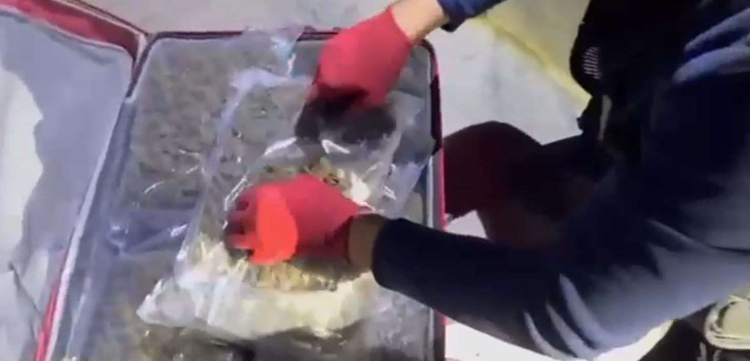 Şanlıurfa’da yolcu otobüsünde 16 kilo 400 gram skunk ele geçirildi — görsel 6
